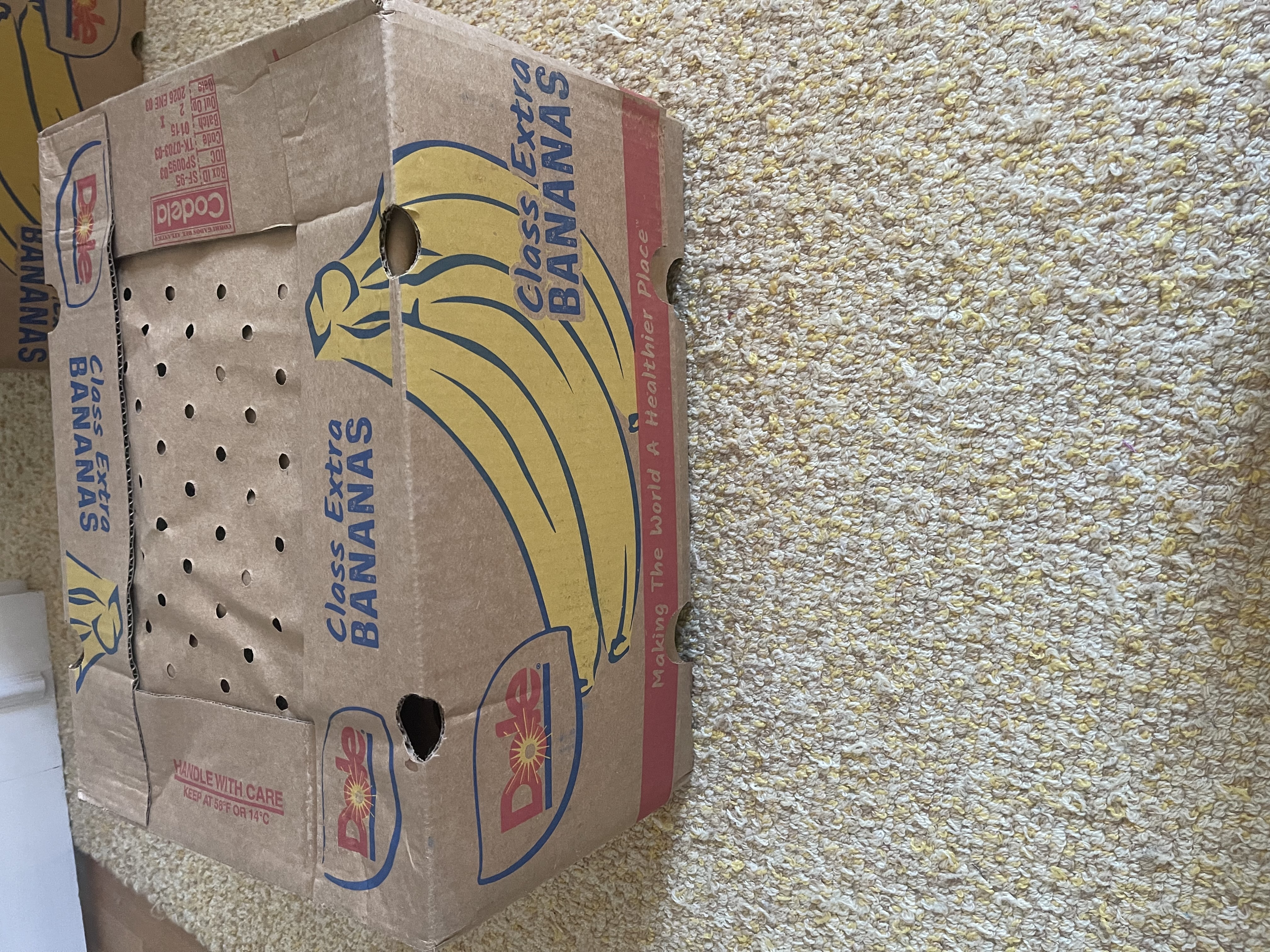 Oppdrag: Lofoten-Arendal